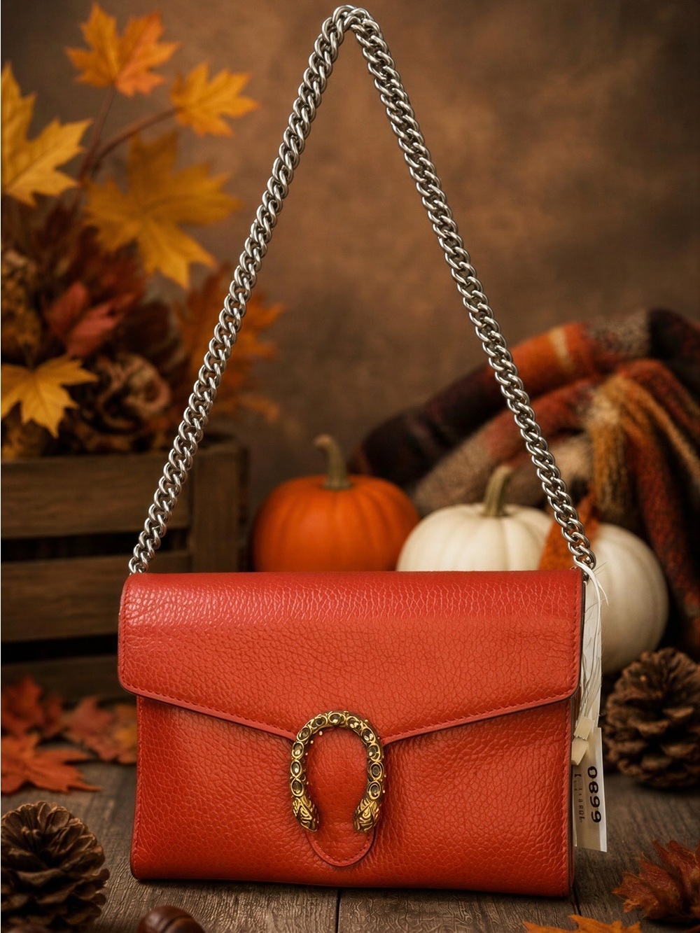 Gucci Dionysus Leather Crossbody-shoulder Red bag with Chain Strap